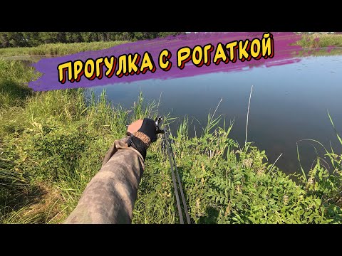 Видео: Прогулка с Рогаткой — Охота на Рыбу с Рогаткой Прошла не Зря, Улов Есть!