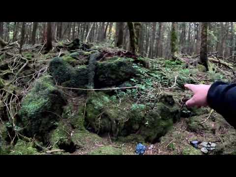 Видео: Аокигахара Раунд 11 Часть 1