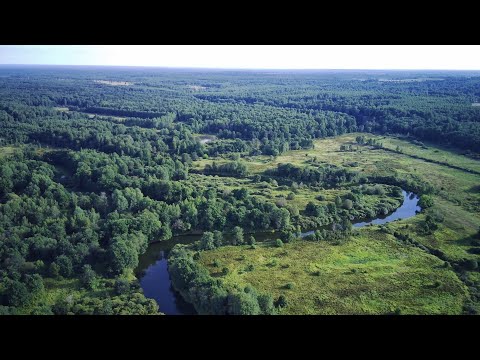 Видео: Голавль в сентябре. Ловля голавля нахлыстом сплавом.