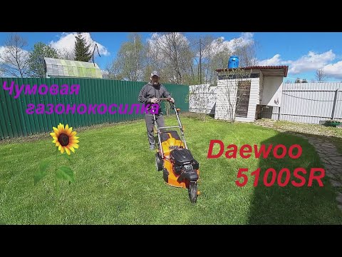 Видео: Газонокосилка Daewoo 5100SR (обзор)