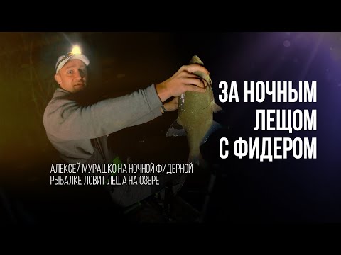 Видео: Ночная рыбалка в сентябре с фидером. Ловим леща на озере
