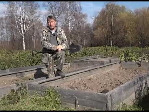 Видео: Зеленый сад фильм № 266 "Раскисление почв.Яблоня.Лук-порей" от 20.10.18г. Хабаровск (zeleniisad.ru)