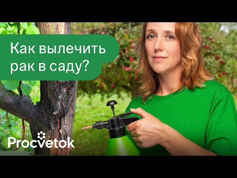 Видео: ЗАЩИТИТЕ САД ОТ РАКА! Полная схема лечения рака плодовых от фитотерапевта