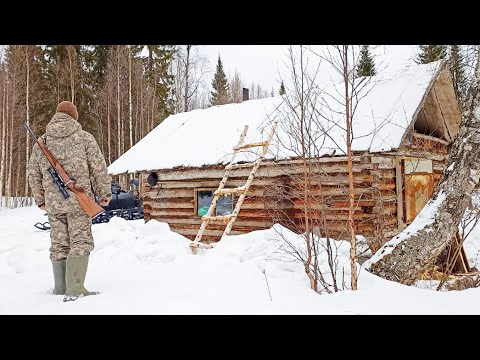 Видео: ДО ИЗБЫ ОДНИМ ДНЁМ / МЕДВЕДЬ ВСЁ ЕЩЁ НЕ ВЫШЕЛ ИЗ БЕРЛОГИ / НА КРАЙНЕМ СЕВЕРЕ ЗИМА НЕ ОТПУСКАЕТ.