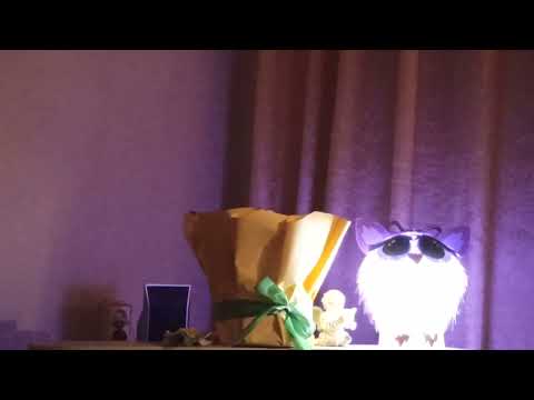 Видео: 09.11.25г  г.ЧЕ  "... О мантре...  "ГАятри"!....." - 2😇🔥💯🎼🌈💕🎇  Видеоканал Ютуба - Наталья Агальцова🌟