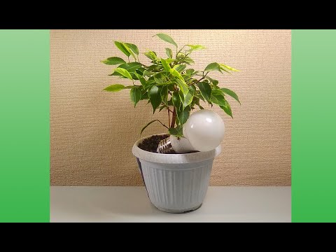 Видео: Подсветка рассады. Простой, бесплатный отражатель для лампы.