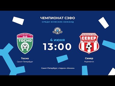 Видео: «Тосно» — «Север». Чемпионат СЗФО среди мужских команд