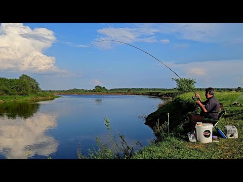 Видео: Какие же Они Здоровые - Эти Лещи под Кустом!!! Рыбалка с Ночевкой на Днепре. Крупный Лещ на Фидер.