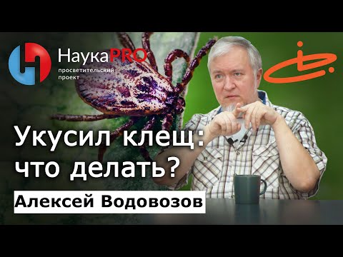 Видео: Укус клеща: первая помощь и последствия – Алексей Водовозов | Научпоп | Лекции по медицине