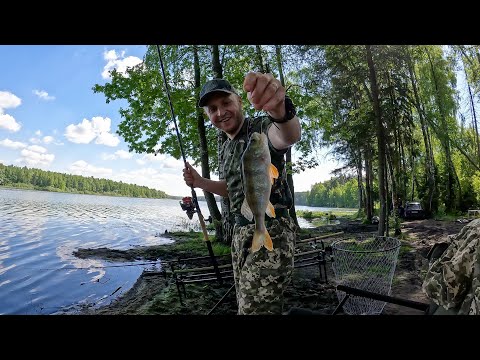 Видео: РЫБАЛКА В ГЖЕЛКЕ. Щука на костре. Сутки на природе