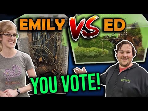 Видео: Мы строим ЭПИЧЕСКИЕ вольеры для тарантулов!