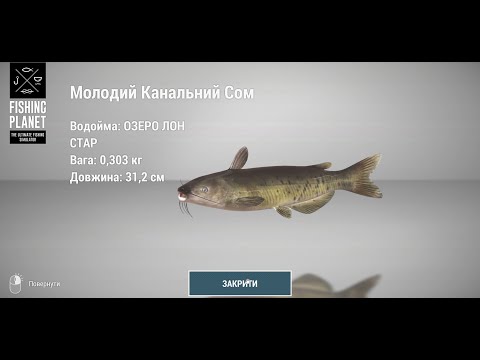 Видео: 7кг риби за ранок