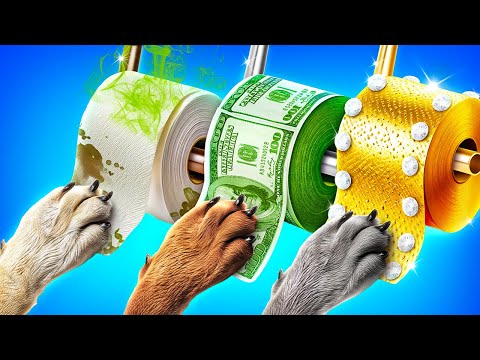 Видео: Строим секретные домики для животных! Бедная vs богатая собака