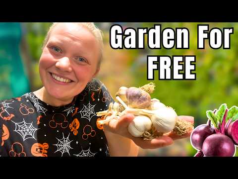 Видео: БЕСПЛАТНЫЕ методы достижения самодостаточности, которые знали ваши бабушки и дедушки