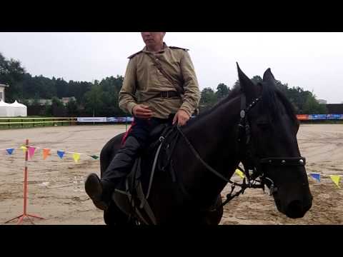 Видео: Мастер-класс о подготовке лошади к джигитовке. Провел Орлан Монгуш