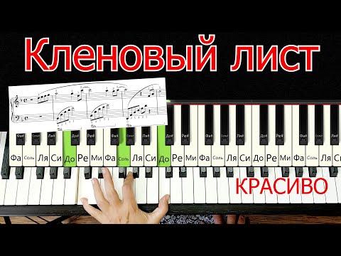 Видео: Кленовый лист УРОК ЛЕГКО Для Начинающих Урок Дунаевский Красивая мелодия