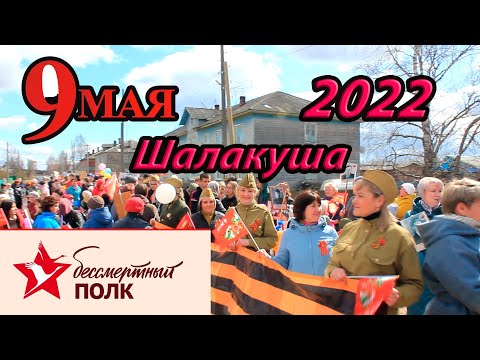 Видео: 9 Мая. п. Шалакуша.