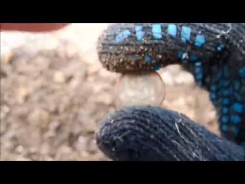 Видео: MD 9020C. Смотри второй коп на пляже КИТАЙСКИМ металлоискателем с aliexpress