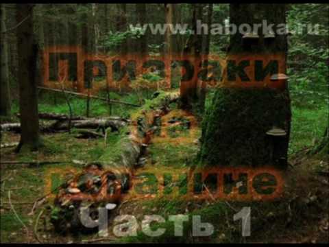 Видео: ПРИЗРАКИ НА КОПАНИНЕ! Мистика на местах боев, необъяснимые происшествия с черными копателями