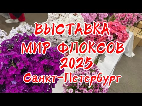 Видео: Выставка Мир Флоксов-2025