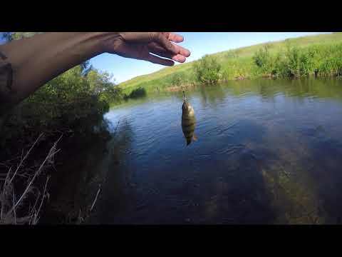 Видео: вместе с Рыбалка За Рулём 52 регион, Волга Кудьма Сундовик