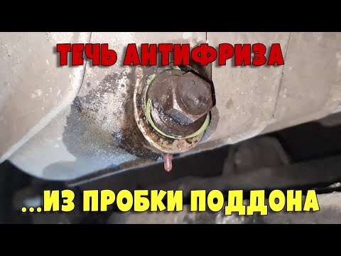 Видео: Антифриз в масле на VW LT 2.8d, AUH