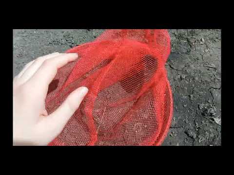 Видео: Ловля бабочек 🦋 1часть