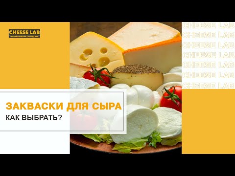 Видео: Закваска для сыра: как выбрать и где искать