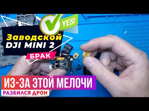 Видео: Dji mini 2 разбился из-за заводского брака и бага в программе