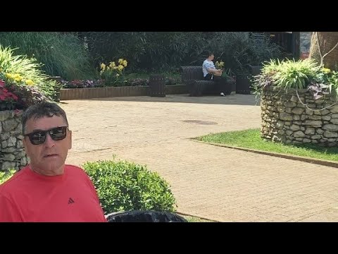 Видео: 2 ноября 2025 г.