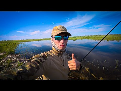 Видео: БҰЛ ЖЕРДЕ БАЛЫҚ БАР ЕКЕНІН ЕШКІМ БІЛМЕЙДІ