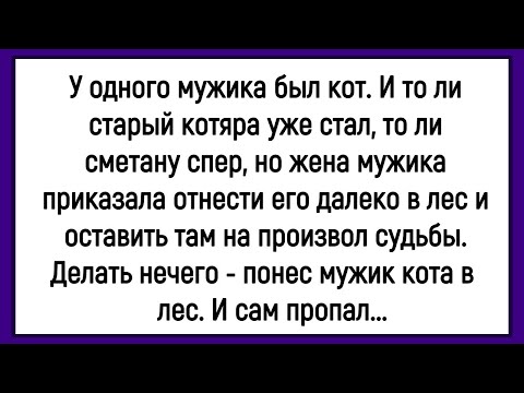 Видео: 🤡Как Мужик От Кота Избавлялся! Сборник Смешных Анекдотов! Юмор! Позитивно!