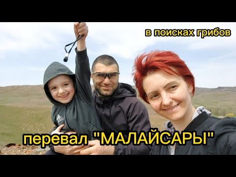 Видео: Перевал "Малайсары". В поисках белого степного. #хазиевы #капчагай