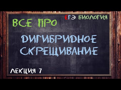 Видео: Л.7 | ДИГИБРИДНОЕ СКРЕЩИВАНИЕ | ГЕНЕТИКА | ОБЩАЯ БИОЛОГИЯ ЕГЭ