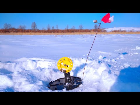 Видео: РЫБАЛКА НА ЖЕРЛИЦЫ.Я АЖ ОЁЁЙКАТЬ НАЧАЛ!!!