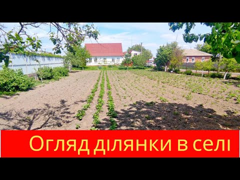 Видео: Огляд ділянки в центрі смт Димер  Продаж