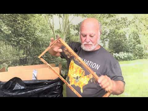 Видео: Я облажался - Катастрофа восковой моли