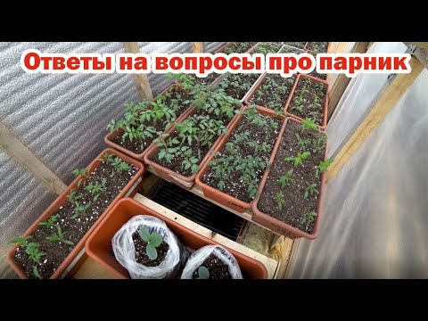 Видео: Теплый парник. Отвечаю на вопросы подписчиков.