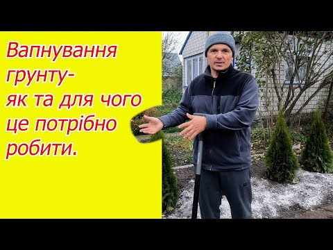 Видео: Розкіслюємо грунт за допомогою вапна- як це правильно зробити,  та для чого?