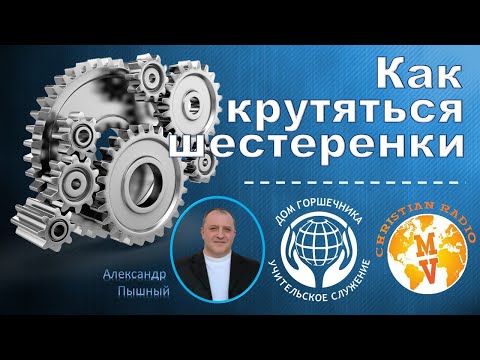 Видео: Как крутятся шестеренки. А Пышный.