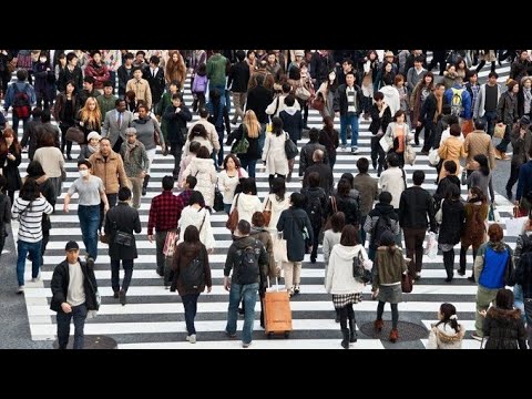 Видео: Gold  в прямом эфире!