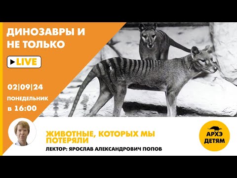 Видео: Занятие "Животные, которых мы потеряли" кружка "Динозавры и не только" с Ярославом Поповым