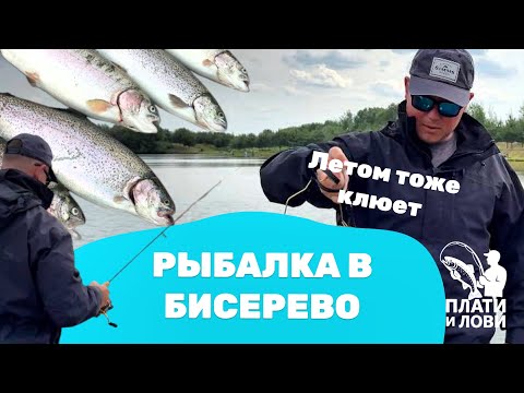Видео: #7 КАК ЛОВИТЬ ПАССИВНУЮ ФОРЕЛЬ ЛЕТОМ? РЫБАЛКА НА ПЛАТНИКЕ. Бисеровский рыбокомбинат