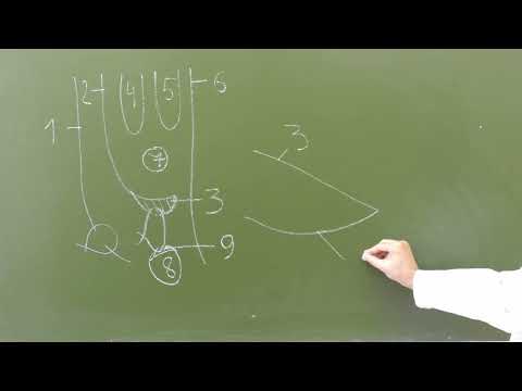 Видео: Пластика по Бассини-Локвуду при бедренных грыжах