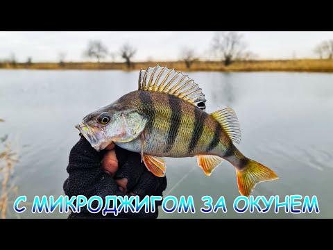 Видео: С микроджигом за окунем! Окунь отозвался и ловился!