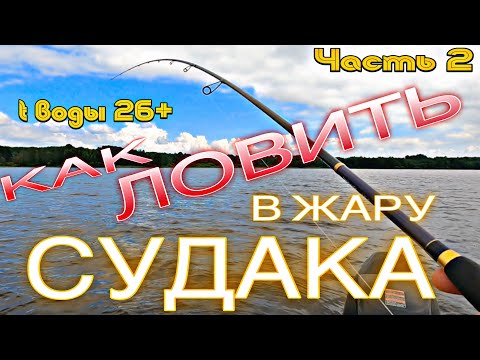 Видео: КАК ЛОВИТЬ СУДАКА В ЖАРУ на ОЗЕРЕ. НУЖЕН ЛИ РАННИЙ ВЫЕЗД? t воды 23-27гр. и выше. ПОЧЕМУ ОН НА МЕЛИ?