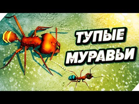 Видео: Самые ТУПЫЕ МУРАВЬИ в мире ! Битва мурашек - Симулятор муравейника