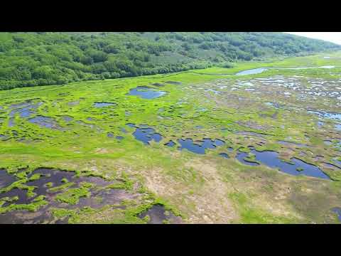 Видео: Камчатка, ЗАТО Вилючинск, ручей Безымянный, июнь 2023 г. Часть II