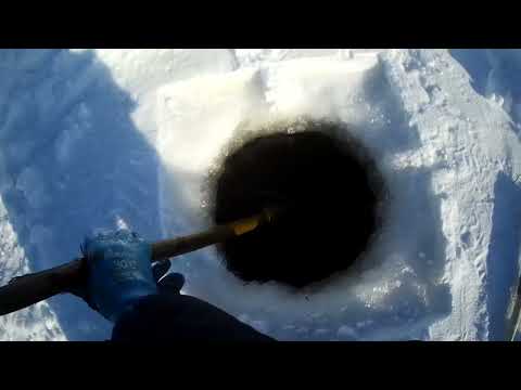 Видео: Проверка крючков на налима 03 03 2024