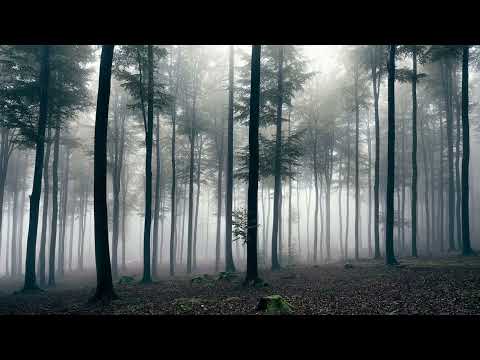 Видео: PONTYBUTT - Незабудка (slowed and reverb)